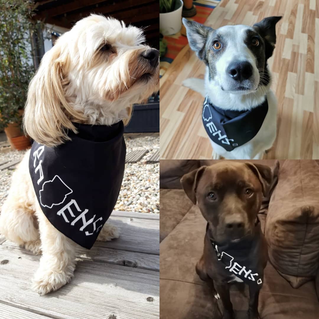 Bandana pour chien